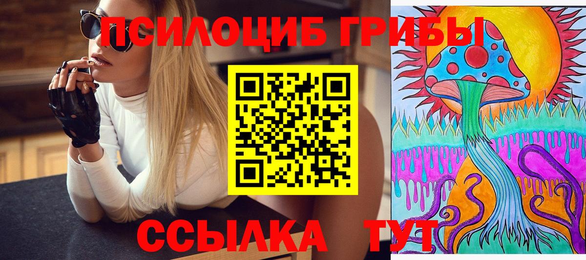 Галлюциногенные грибы ЛСД  Вход с VPN  где купить наркоту  Псилоцибиновые грибы ЛСД  Мытищи 