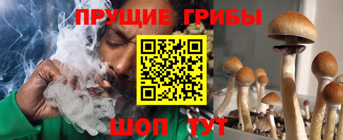 Псилоцибиновые грибы ЛСД Мытищи